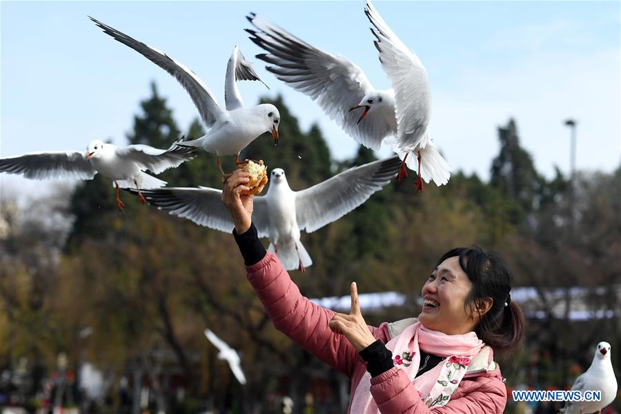 XINHUA PHOTOS OF THE DAY