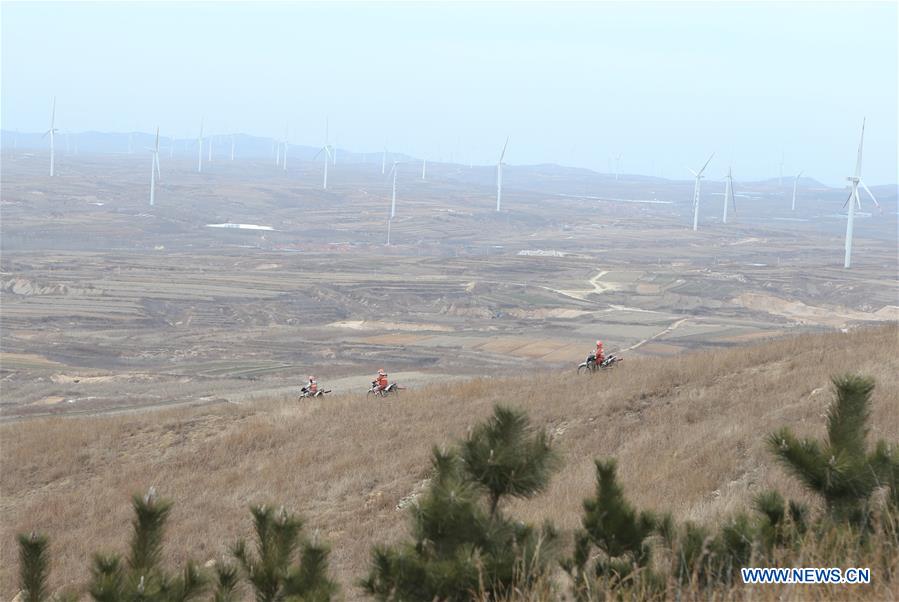 CHINA-SHANDONG-LAIXI-FOREST RANGER(CN)