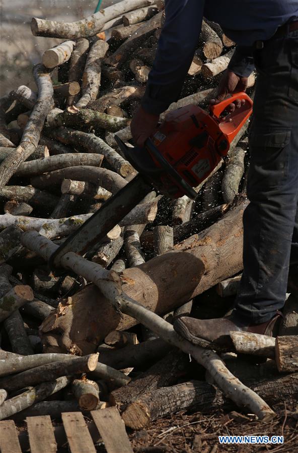 MIDEAST-NABLUS-WINTER-FIREWOOD