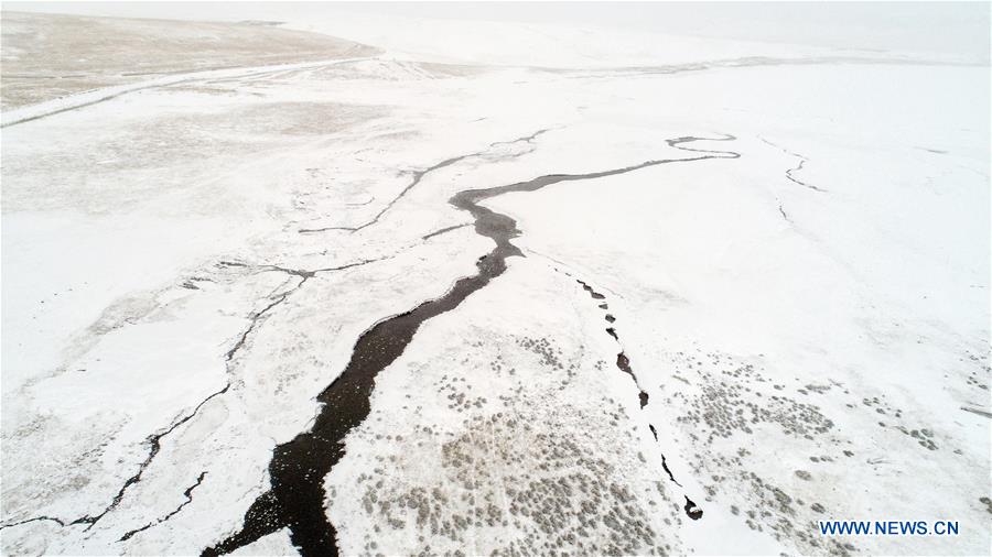 #CHINA-GANSU-ZHANGYE-HORSE (CN)