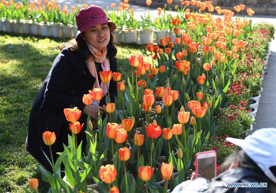 CHINA-KUNMING-FLOWERS (CN)