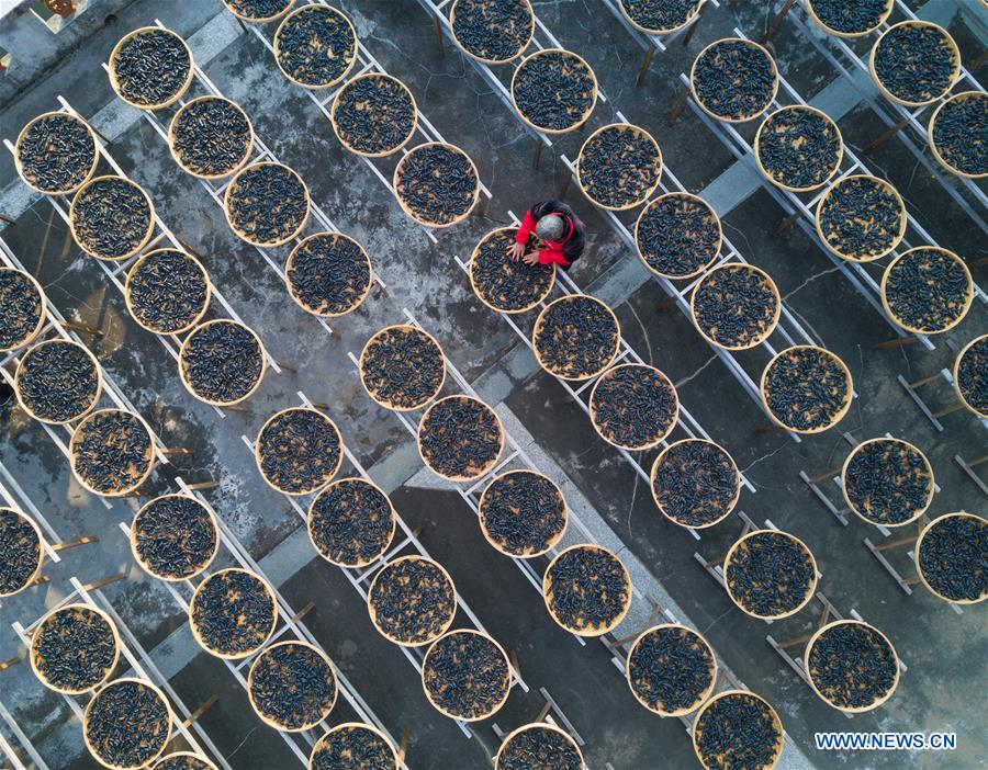 CHINA-FUJIAN-YONGCHUN-RURAL SCENERIES (CN) 