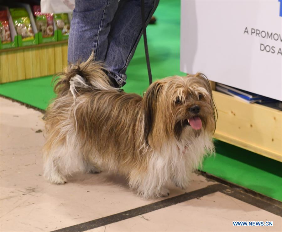 PORTUGAL-LISBON-PET SHOW