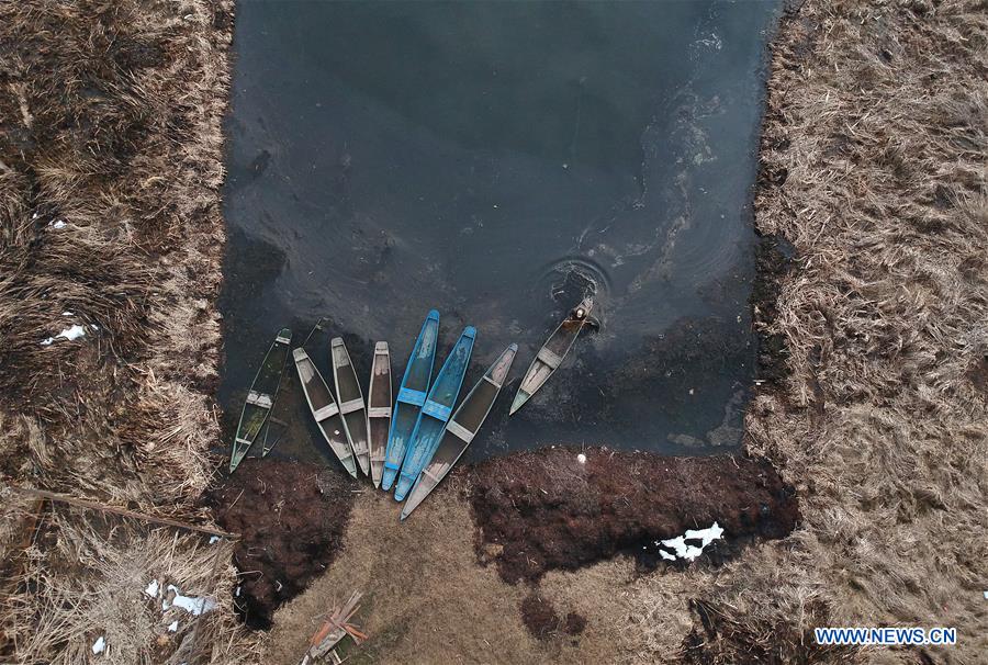 KASHMIR-SRINAGAR-WORLD WETLANDS DAY