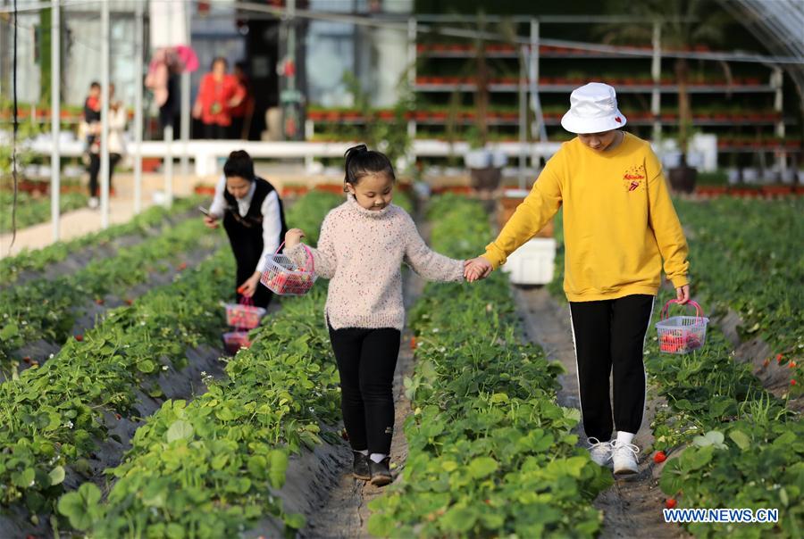 CHINA-HEBEI-HENGSHUI-FARM-TOURISM (CN)