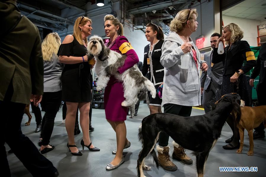 U.S-NEW YORK-DOG SHOW