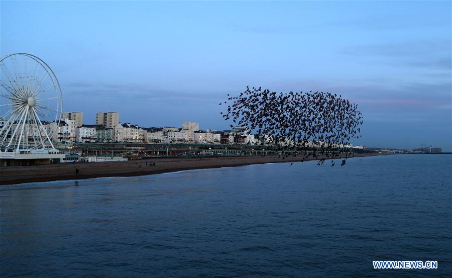 UK-LONDON-BRIGHTON STARLING