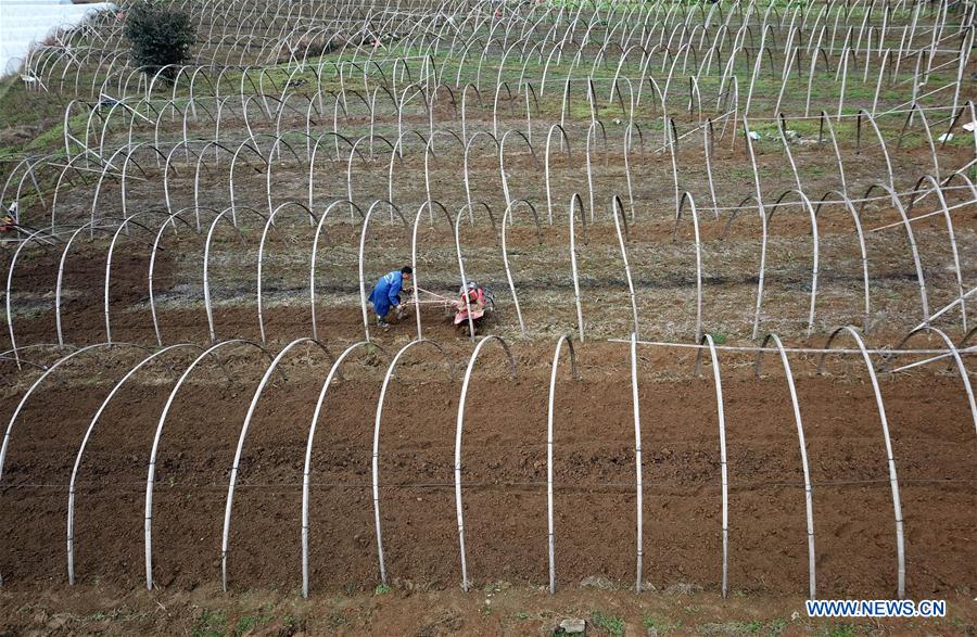 #CHINA-JINGZHE-FARM WORK (CN)