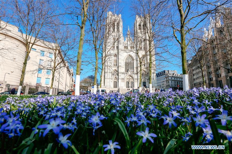 BELGIUM-BRUSSELS-SPRING-FLOWERS