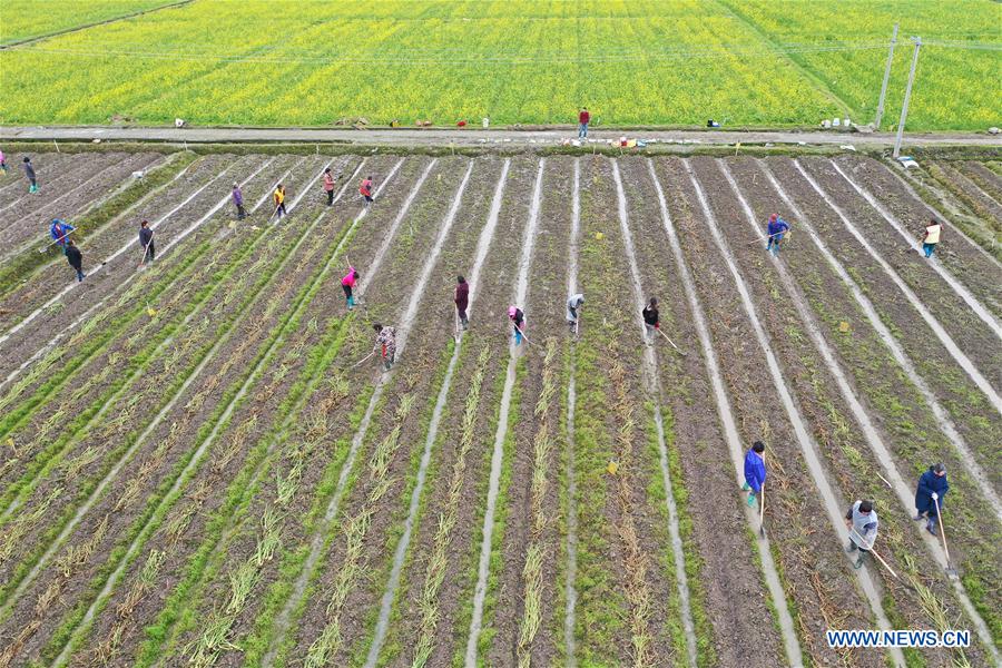 #CHINA-HUNAN-SPRING-FARMING (CN)