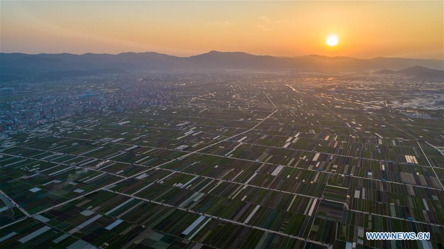 CHINA-YUNNAN-TONGHAI-FIELDS (CN)