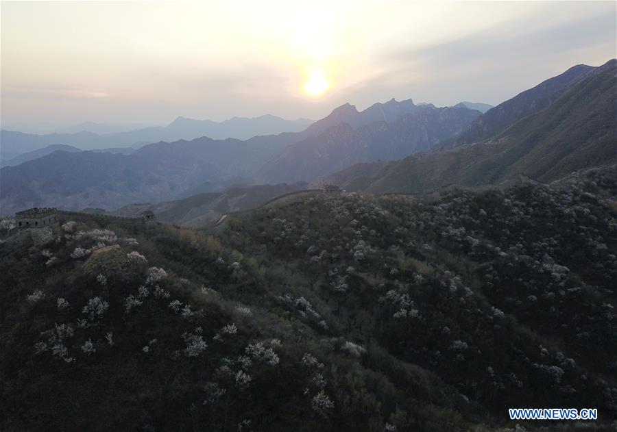 CHINA-BEIJING-GREAT WALL-SCENERY (CN)