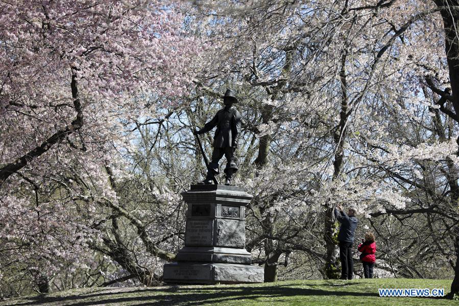 U.S.-NEW YORK-CENTRAL PARK