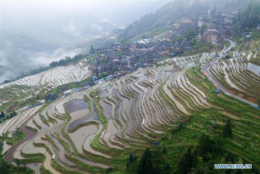 #CHINA-GUIZHOU-CONGJIANG-TERRACED FIELD (CN)