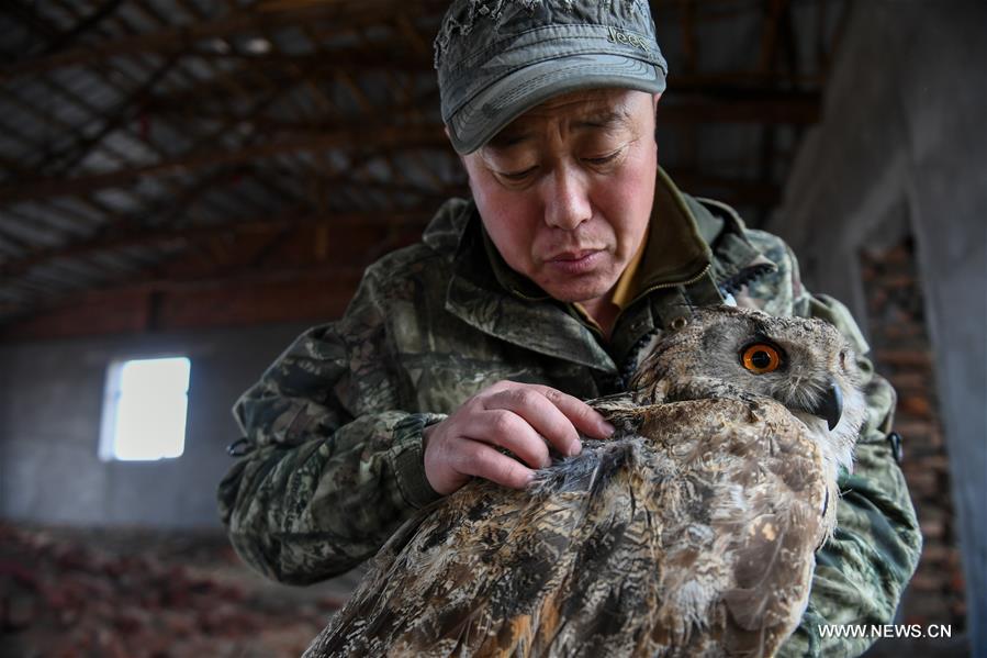 CHINA-INNER MONGOLIA-HULUN BUIR-WILDLIFE PROTECTOR (CN)