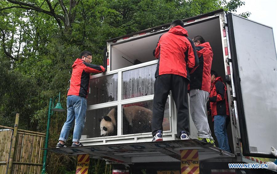 CHINA-SICHUAN-RUSSIA-GIANT PANDA (CN)