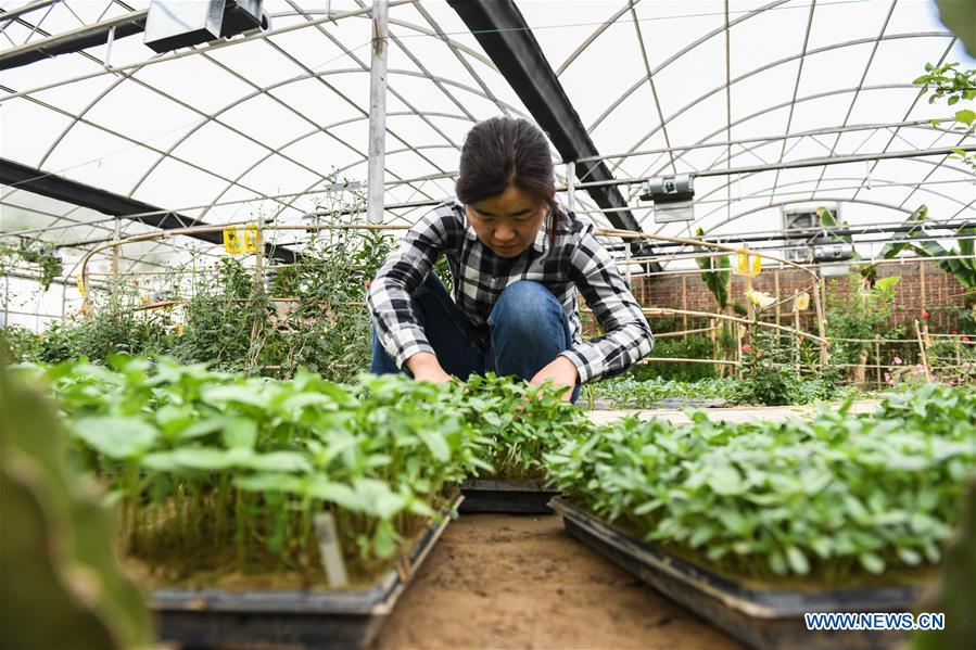 (EcoChina)CHINA-BEIJING-HORTICULTURAL EXPO-INNER MONGOLIA (CN)