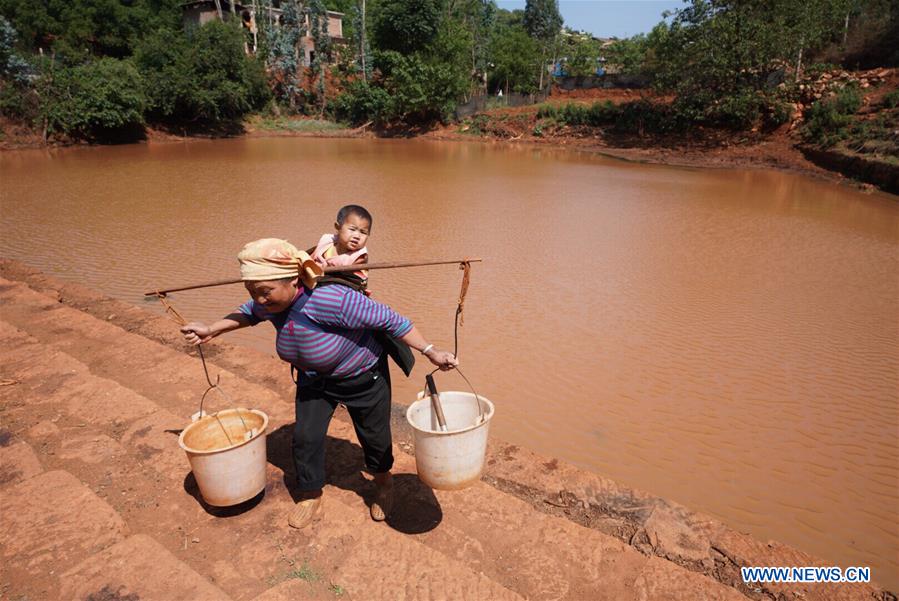 CHINA-YUNNAN-MILE-DROUGHT (CN)