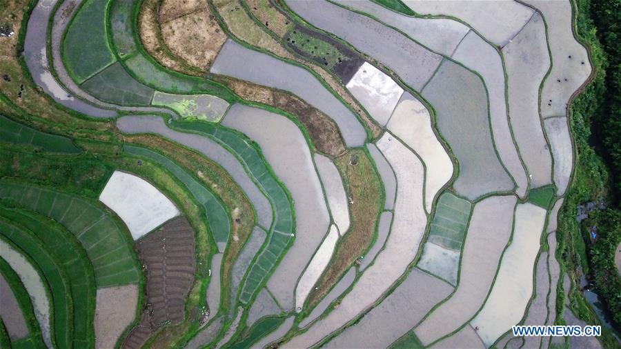 CHINA-GUIZHOU-DANZHAI-TERRACED FIELDS (CN)