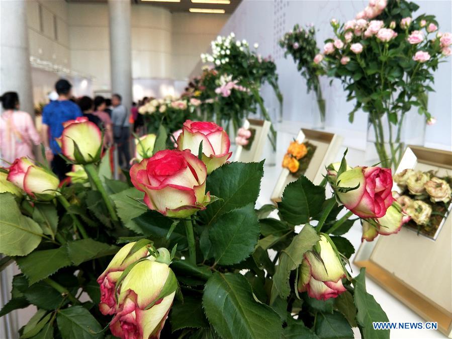 (BeijingCandid)CHINA-BEIJING-HORTICULTURAL EXPO (CN)