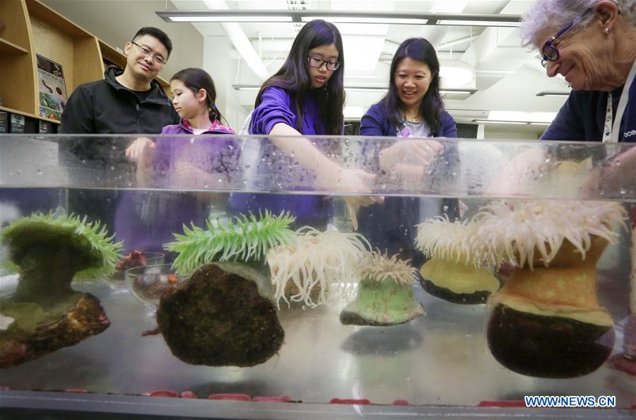 CANADA-VANCOUVER-AQUARIUM-WORLD OCEANS DAY