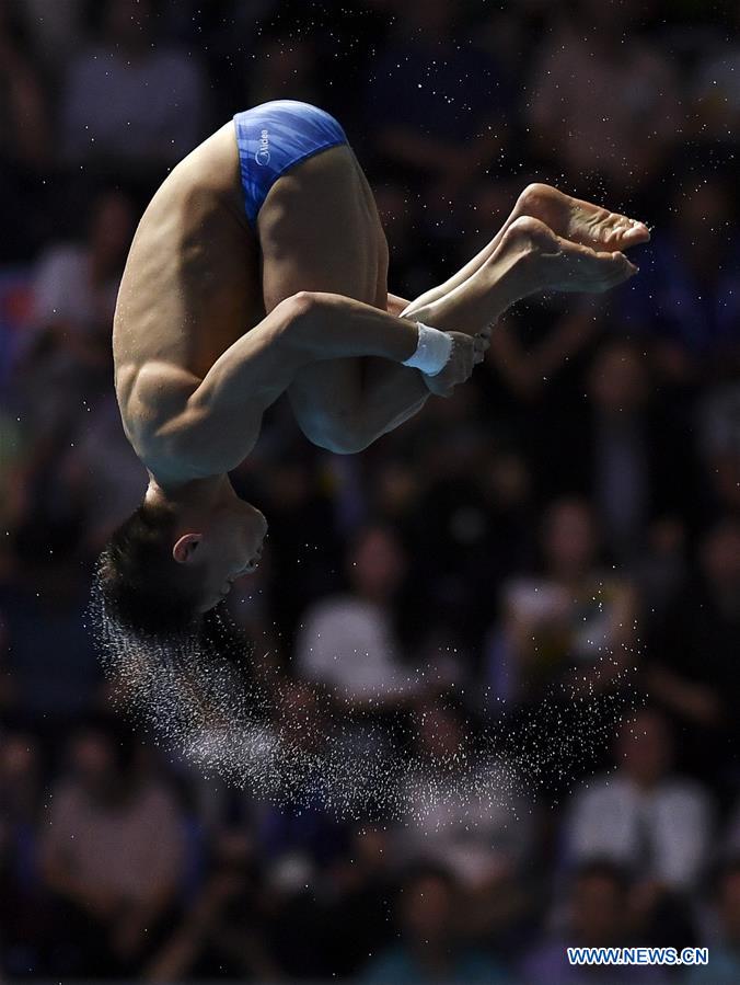 (SP)SOUTH KOREA-GWANGJU-FINA WORLD CHAMPIONSHIPS-DIVING-MEN'S 10M PLATFORM