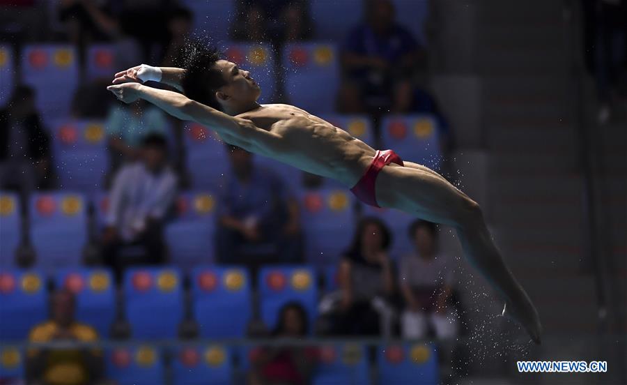 (SP)SOUTH KOREA-GWANGJU-FINA WORLD CHAMPIONSHIPS-DIVING-MEN'S 10M PLATFORM