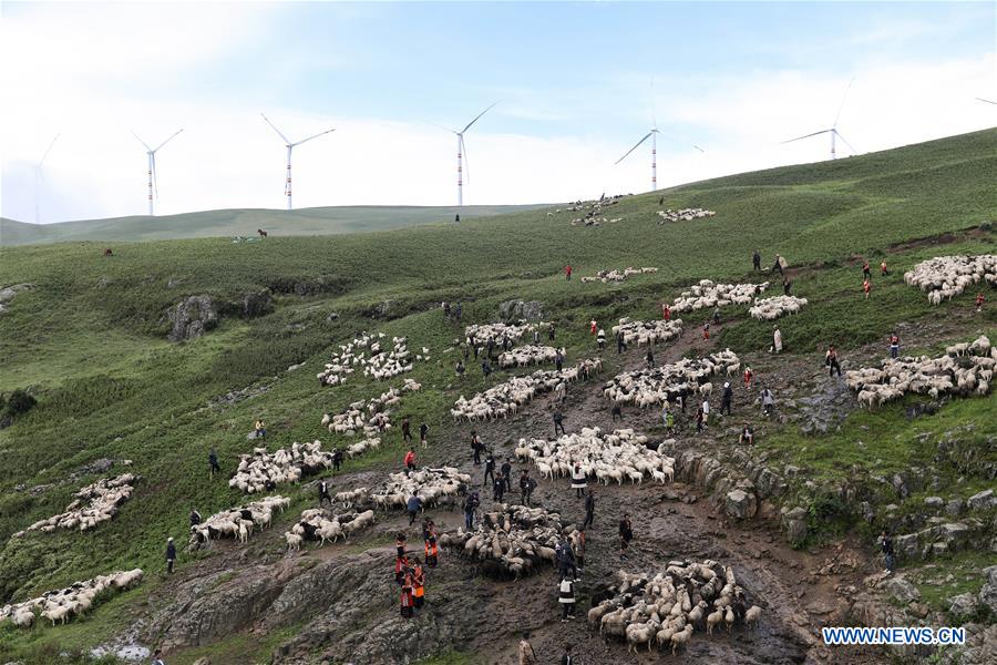 CHINA-SICHUAN-SHEEPSHEARING-FESTIVAL (CN)