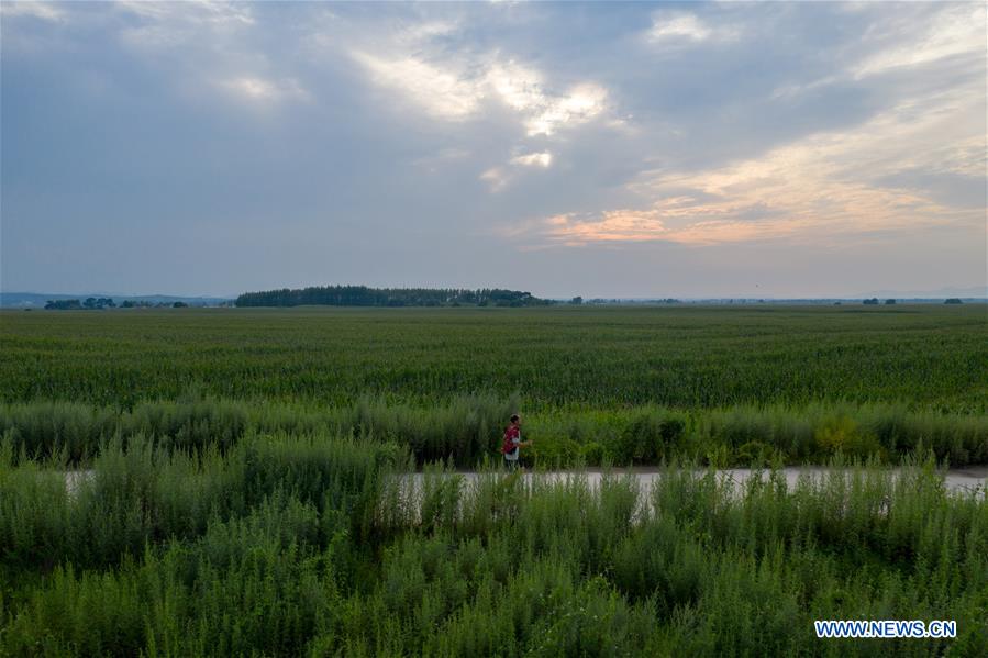 (SP)CHINA-JILIN-CHANGCHUN-RUNNING-MARATHON RUNNER(CN)