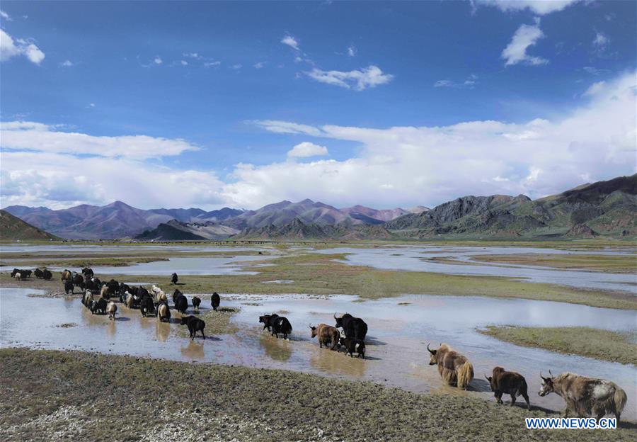 (EcoChina)CHINA-HORTICULTURAL EXPO-TIBET (CN)