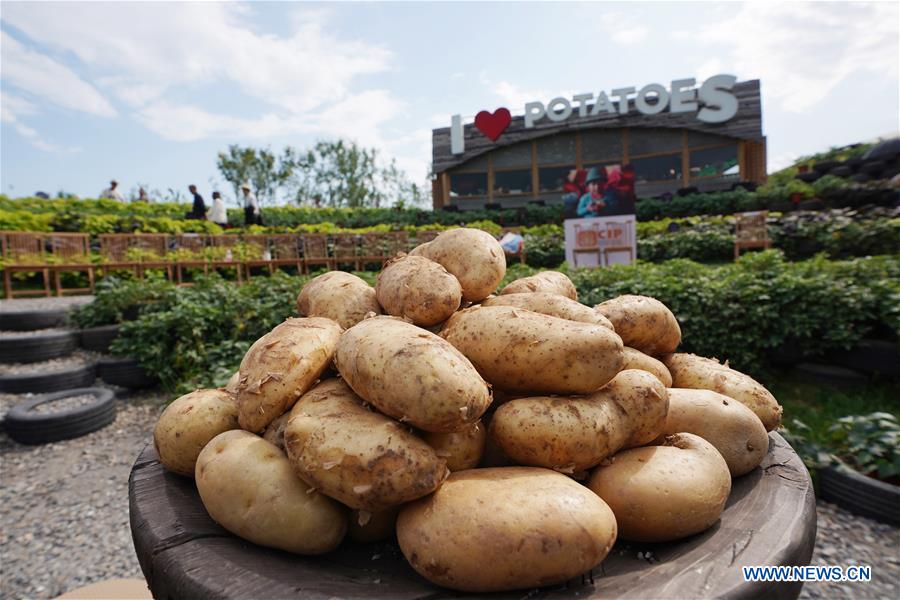 CHINA-BEIJING-HORTICULTURAL EXPO-HONORARY DAY (CN)