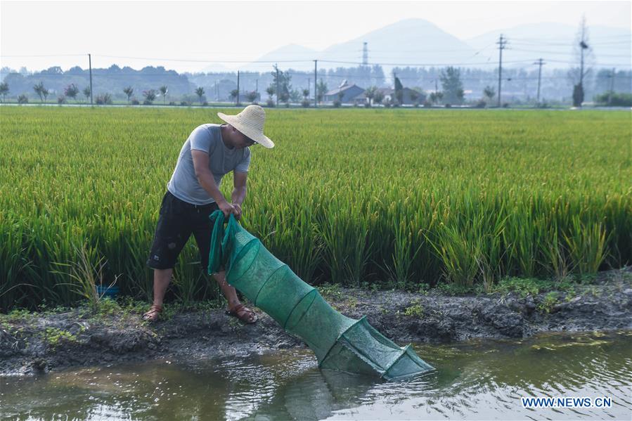 CHINA-ZHEJIANG-HUZHOU-AGRICULTURE-POLYCULTURE (CN)