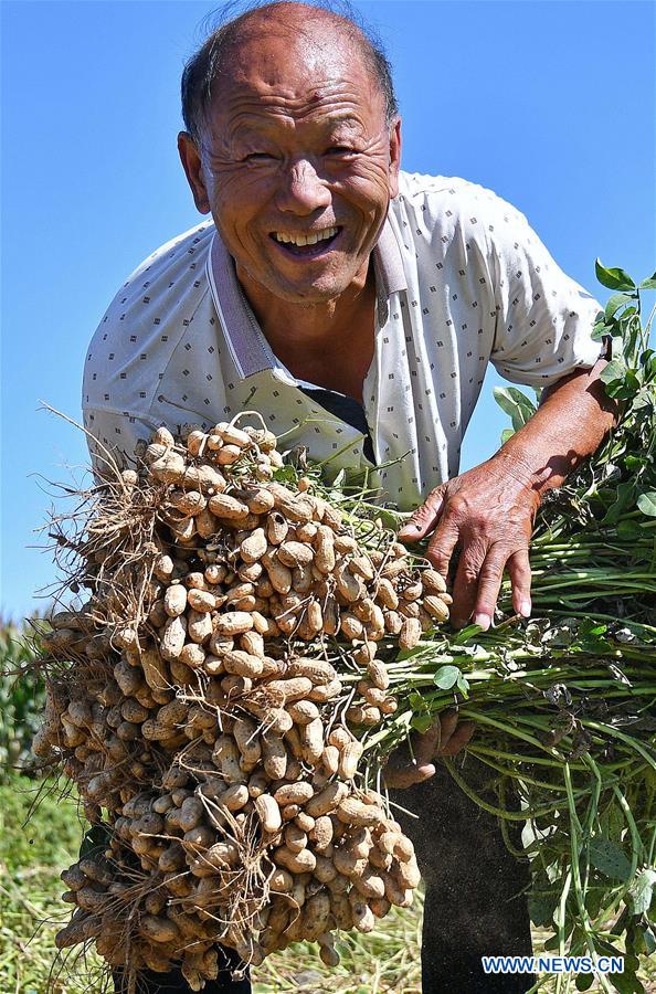 #CHINA-HARVEST FESTIVAL-CELEBRATION (CN)