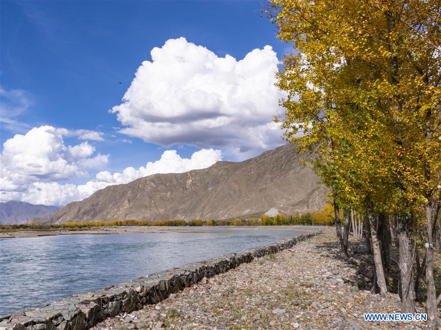 CHINA-TIBET-LHASA-AUTUMN SCENERY (CN)