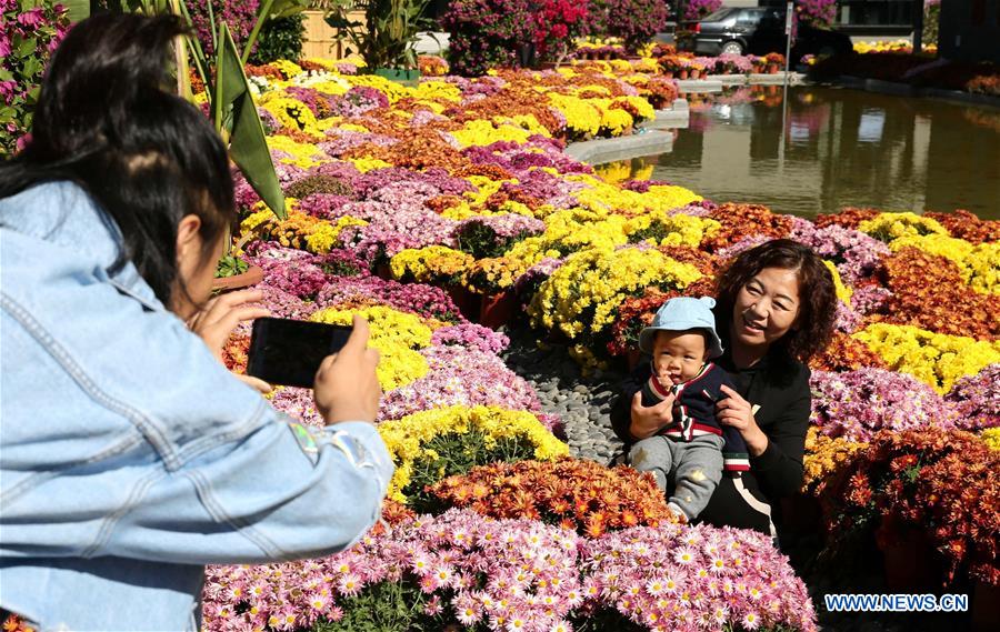 CHINA-HEBEI-CHRYSANTHEMUM EXHIBITION (CN)