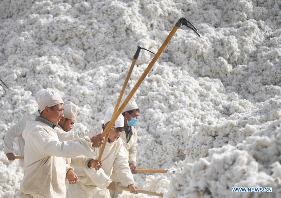 CHINA-XINJIANG-AWAT-AGRICULTURE-COTTON (CN)