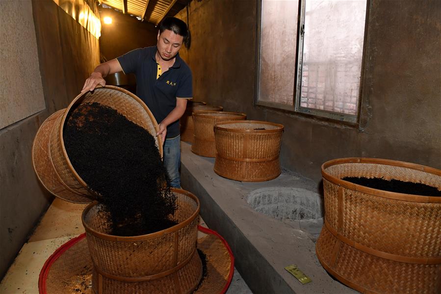 CHINA-FUJIAN-WUYISHAN-TEA-COOPERATIVE (CN)