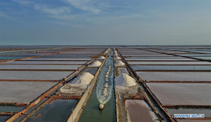 CHINA-HEBEI-CAOFEIDIAN-SALT PAN-AUTUMN-HARVEST (CN)