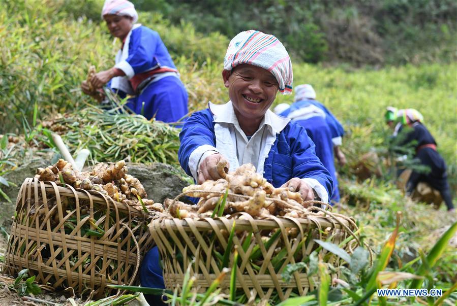 CHINA-GUANGXI-HEZHOU-YAO ETHNIC GROUP-POVERTY ALLEVIATION (CN)