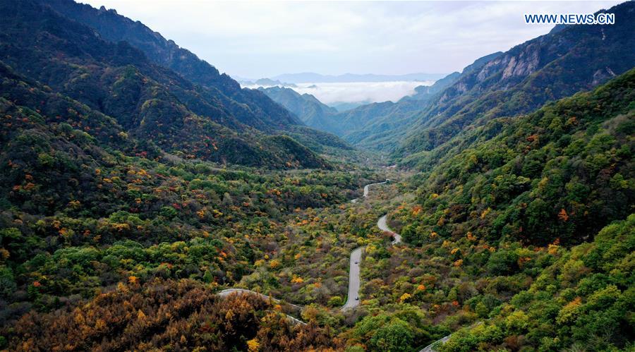 CHINA-SHAANXI-QINLING MOUNTAINS-SCENERY (CN)