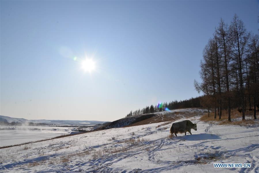 CHINA-INNER MONGOLIA-YAKESHI-WINTER SCENERY (CN)