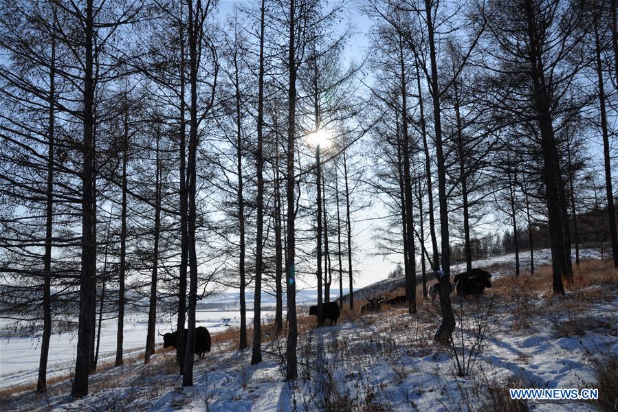 CHINA-INNER MONGOLIA-YAKESHI-WINTER SCENERY (CN)