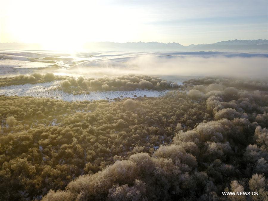 CHINA-XINJIANG-ZHAOSU-WINTER SCENERY (CN)