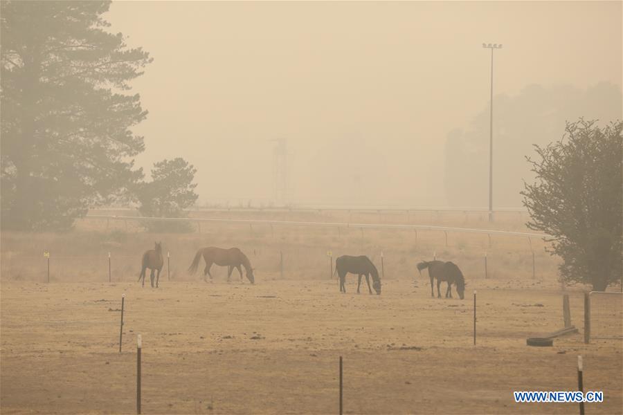 AUSTRALIA-CANBERRA-BUSHFIRE-SMOKE