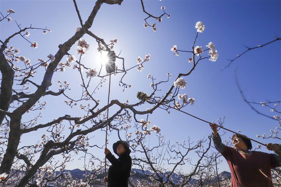 #CHINA-SPRING-FARMING (CN)