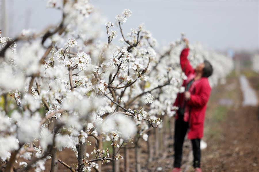 #CHINA-SPRING-FARMING (CN)