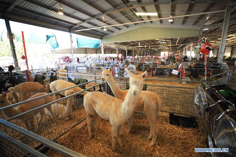 AUSTRALIA-CANBERRA-ROYAL CANBERRA SHOW