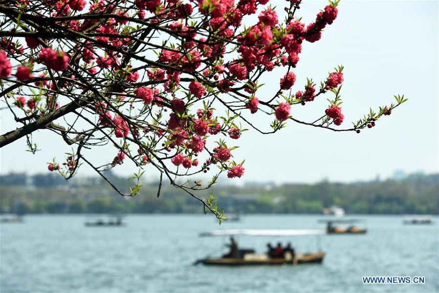 #CHINA-SPRING-LEISURE-FLOWER (CN)