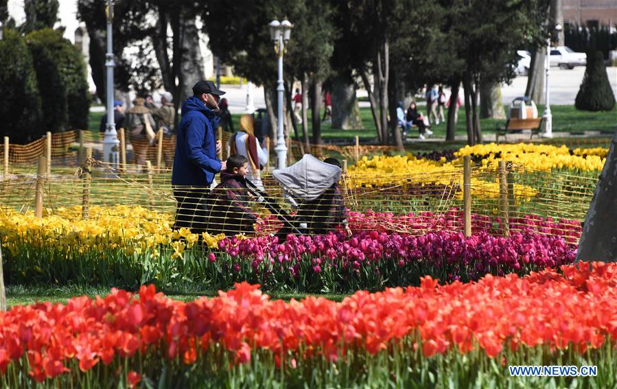 TURKEY-ISTANBUL-GULHANE PARK-TULIPS