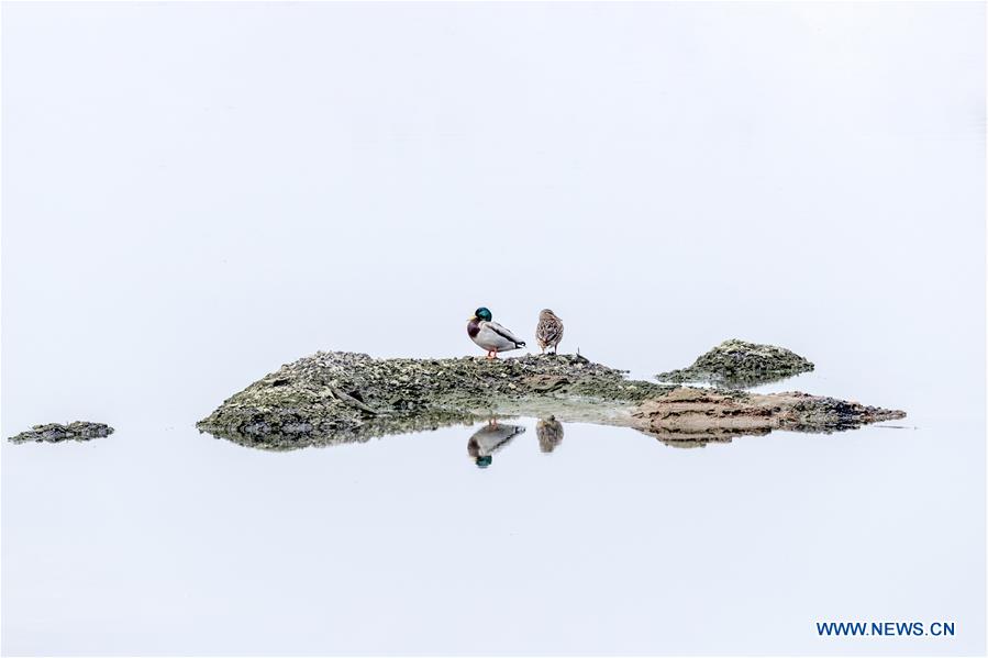 CHINA-SHANXI-XIAOYI-XIAOHE NATIONAL WETLAND PARK (CN)